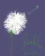 dandelion flower